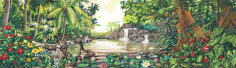 Amazonas Regenwald